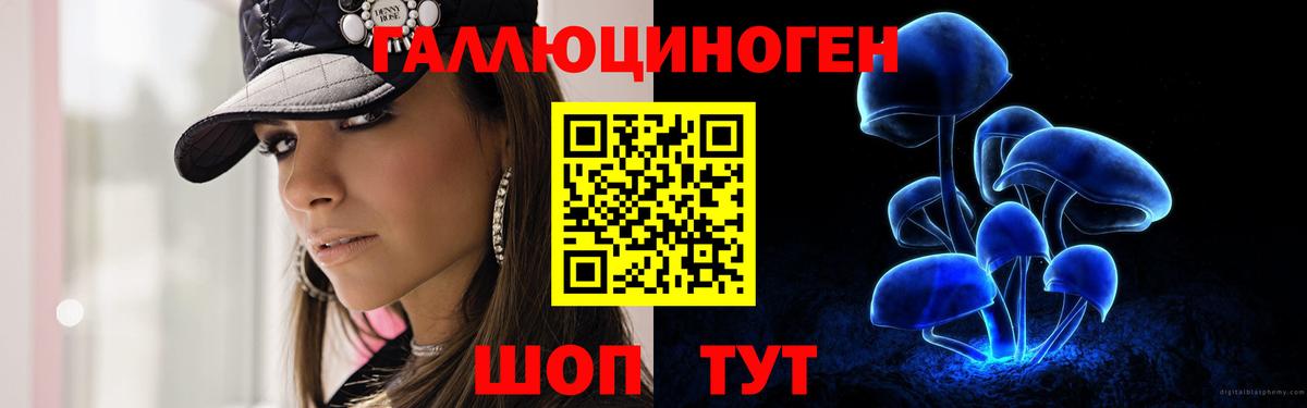 Галлюциногенные грибы Psilocybine cubensis Кемерово